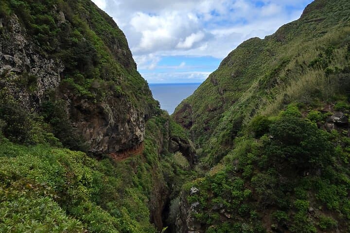 Solitude on Vereda da Ladeira: Challenging Coastal Hike in Northwest Madeira photo 5