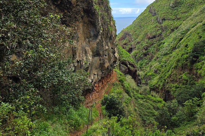 Solitude on Vereda da Ladeira: Challenging Coastal Hike in Northwest Madeira photo 6