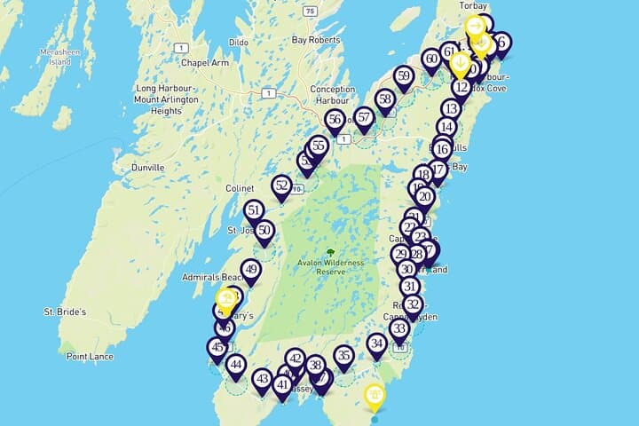 Irish Loop Audio Driving Tour — Self-Guided Coastal Drive from St. John's photo 3