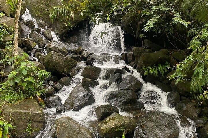 Pance Trail Waterfall Hike: Swim, Wildlife & Views Near Cali photo 4