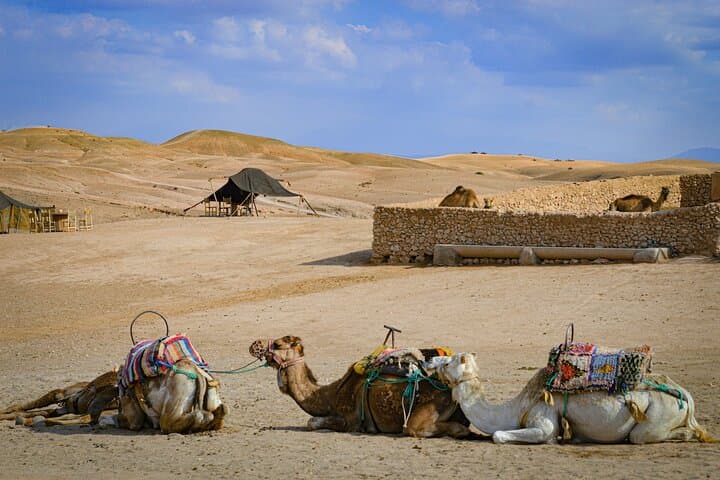 Agafay Desert Sunset: Quad Ride, Camel Trek & Lantern-Lit Dinner from Marrakech