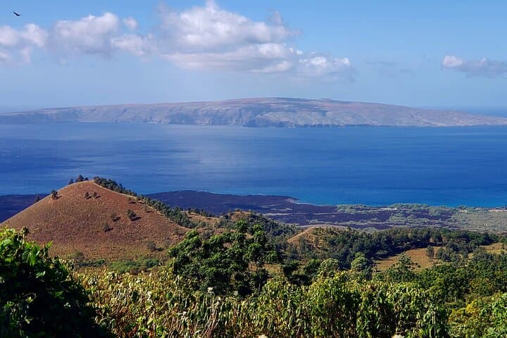 Haleakalā Highs: Private Maui Redwood Hiking Experience in Kula photo 6
