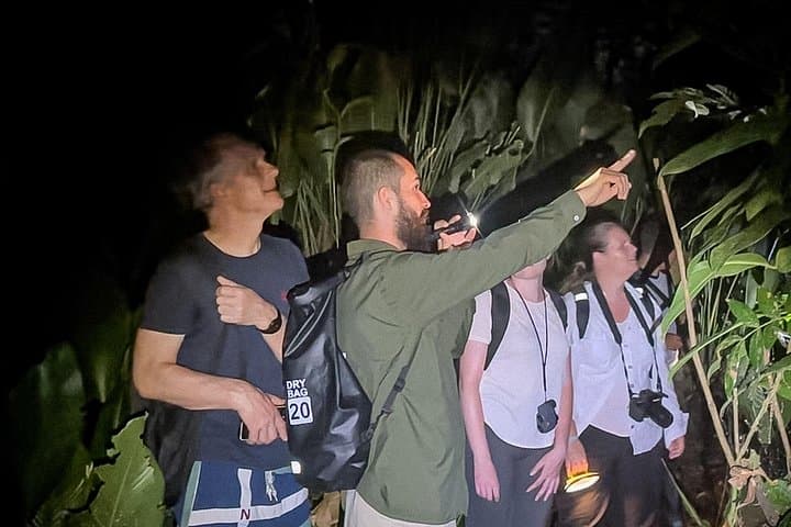 Tortuguero Night Walk: Discover Frogs, Sloths & Nocturnal Rainforest Life photo 1