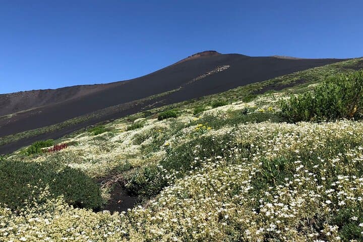 Etna Smart Trekking: Guided Low-Cost Walk to Crateri Silvestri and Valle del Bove photo 3