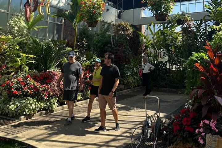 Half-Day Auckland City Tour: Harbour Views, Volcanic Crater & Kiwi Encounter photo 6