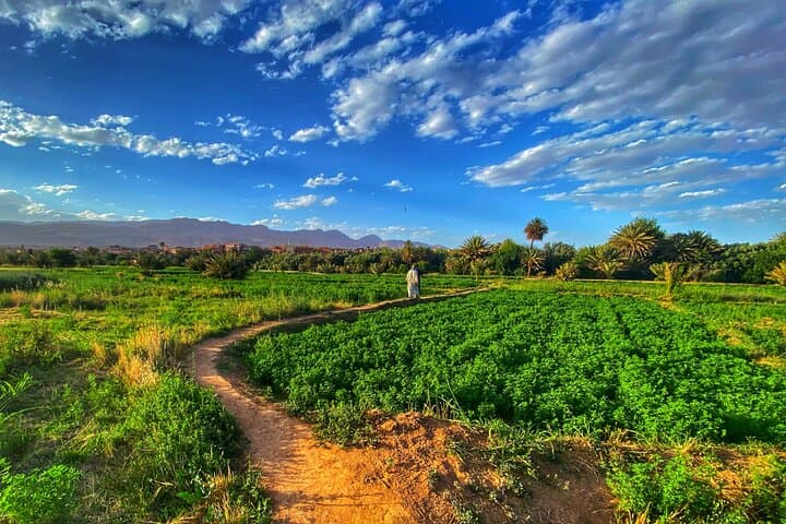 Discover Tinghir: Walking the Old Medina and Palm Oasis of Tinerhir photo 4