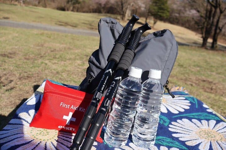 Morning Hike at Lake Kawaguchi: Private Guided Tour with Mt. Fuji Views photo 4