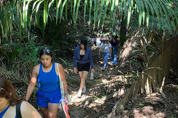 Sunset Hike to Sayulita’s Hidden Black-and-Gold Beach photo 2