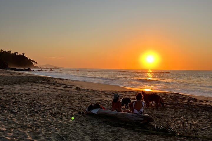 Sunset Hike to Sayulita’s Hidden Black-and-Gold Beach photo 3