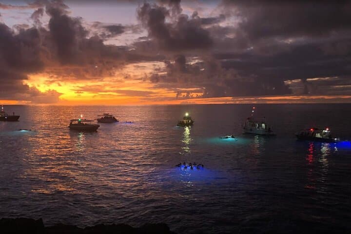 Kona Manta Ray Night Snorkel: Nighttime Swim with Giant Mantas photo 4