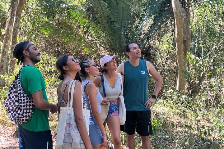 Monkey Mountain Hike from Sayulita: Summit Sunset & Jungle Trails photo 4