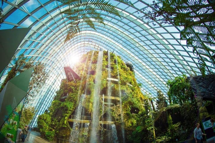 Explore Gardens by the Bay: Cloud Forest, Flower Dome & Garden Rhapsody photo 6