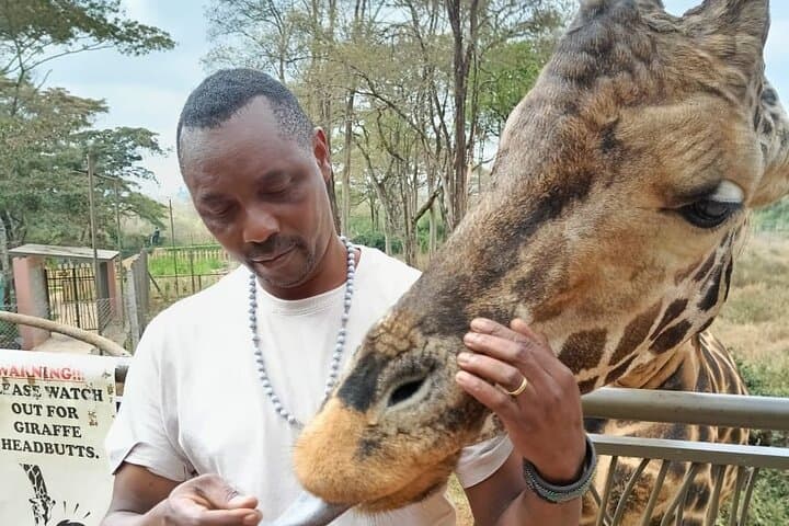 Nairobi Giraffe Centre, Karen Blixen & Bead Factory Day Tour