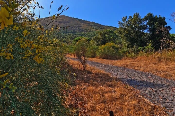 Naples E-Bike Tour Up Mount Vesuvius with Guided Winery Option photo 3