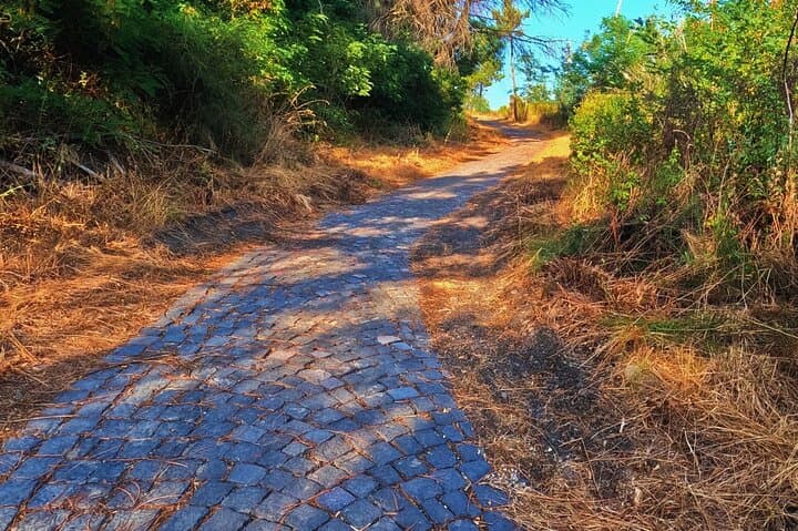 Naples E-Bike Tour Up Mount Vesuvius with Guided Winery Option photo 4