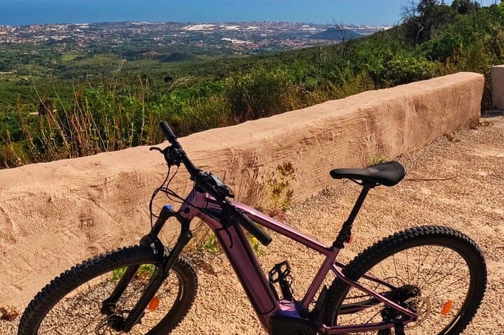Naples E-Bike Tour Up Mount Vesuvius with Guided Winery Option photo 6