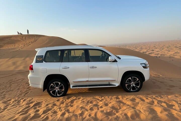 Private Dubai Morning Desert Safari with Dune Bashing in Lahbab Desert photo 4