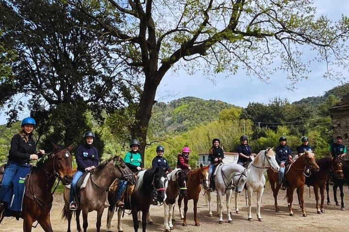 Horseback Riding in Cava de’ Tirreni — Salerno Hills Trail Ride photo 2