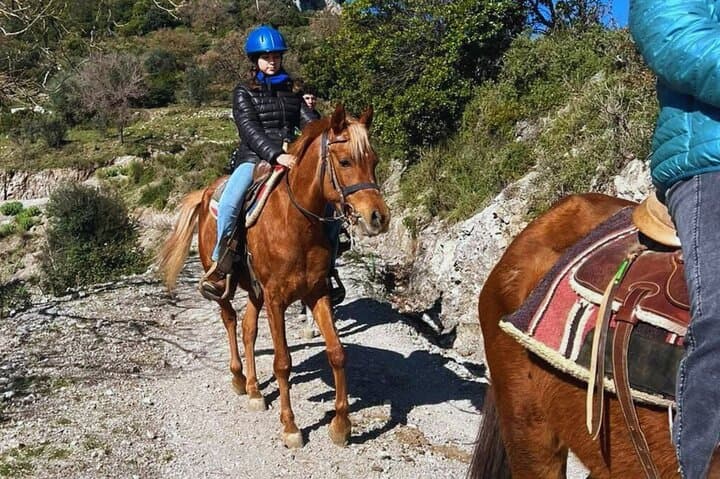 Horseback Riding in Cava de’ Tirreni — Salerno Hills Trail Ride photo 4