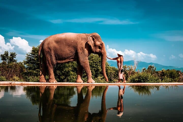 Private Koh Samui Photoshoot for Couples and Families: Sunset Beaches & Waterfall Portraits photo 3
