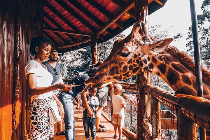 Nairobi Day Tour: Giraffe Centre, Sheldrick Elephant Orphanage & Museum of Illusions photo 4
