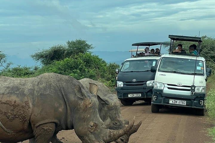Explore Wildlife Close to Nairobi: 5-Hour Early Morning Safari in Nairobi National Park photo 2