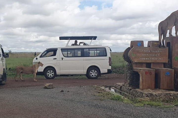 Explore Wildlife Close to Nairobi: 5-Hour Early Morning Safari in Nairobi National Park photo 3