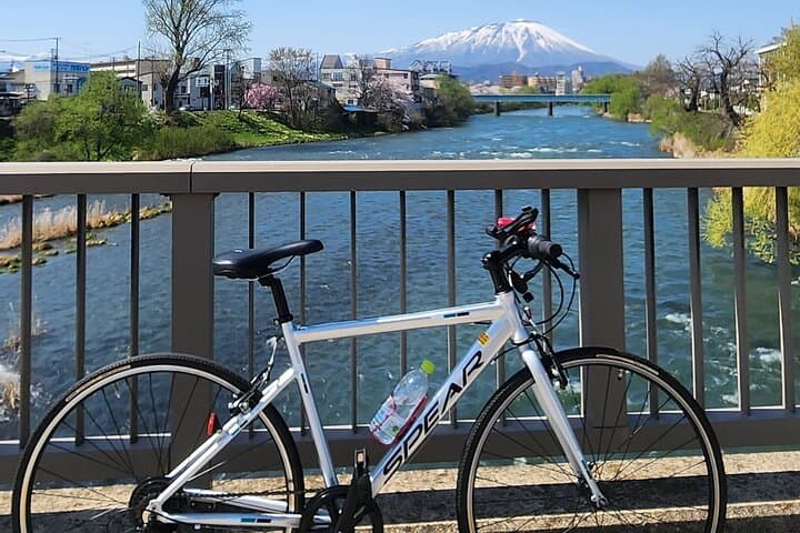 Morioka E-Bike City Cycle: Temples, Treats & Castle Ruins