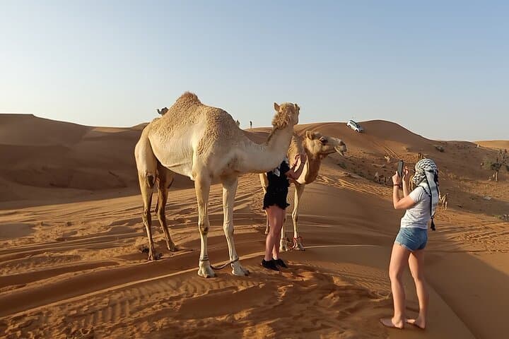 Morning Red Dunes Safari in Dubai: Dune Bashing, Camel Ride & Sandboarding