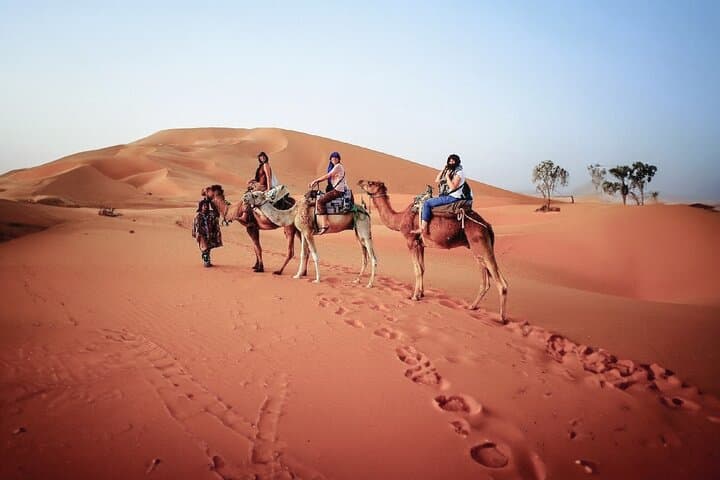 Morning Red Dunes Safari in Dubai: Dune Bashing, Camel Ride & Sandboarding photo 5