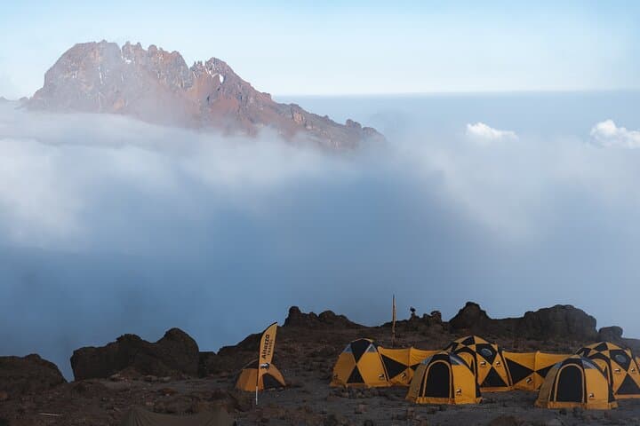 Kilimanjaro Lemosho Route: 8-Day Guided Ascent to Uhuru Peak photo 4