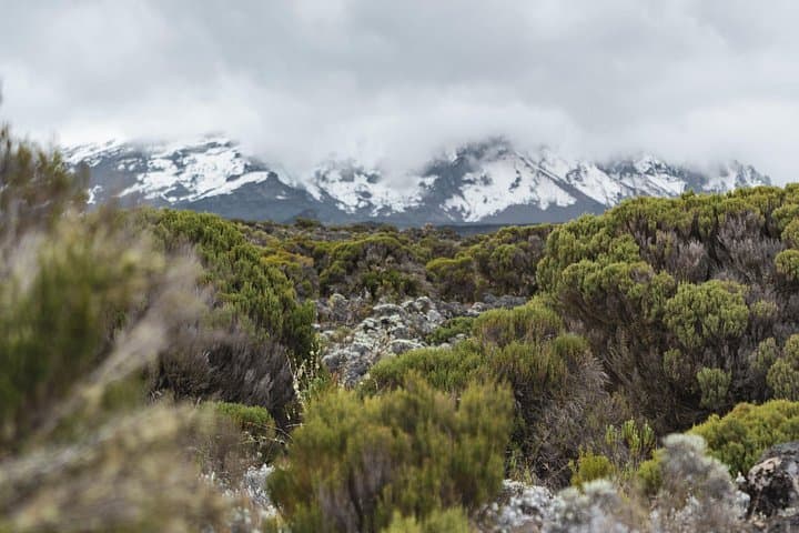 Kilimanjaro Crater Route 10-Day Northern Circuit: Camp Inside the Crater and Summit Uhuru Peak photo 4