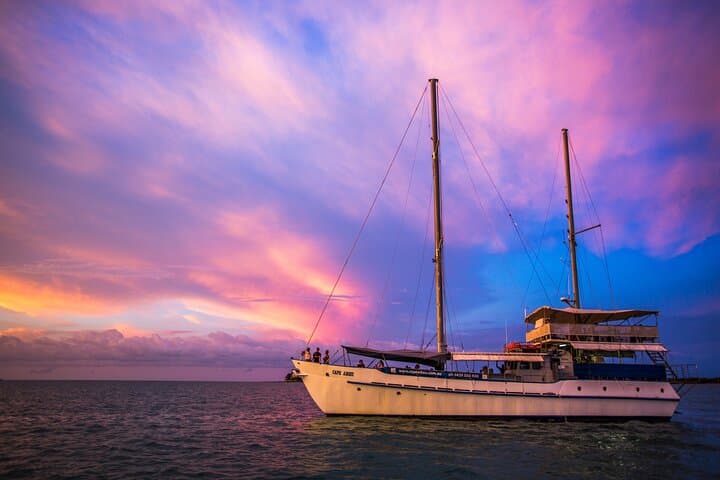 Darwin Sunset Dinner Cruise Aboard Cape Adieu — 2.5‑Hour Harbour Cruise & Four‑Course Dinner