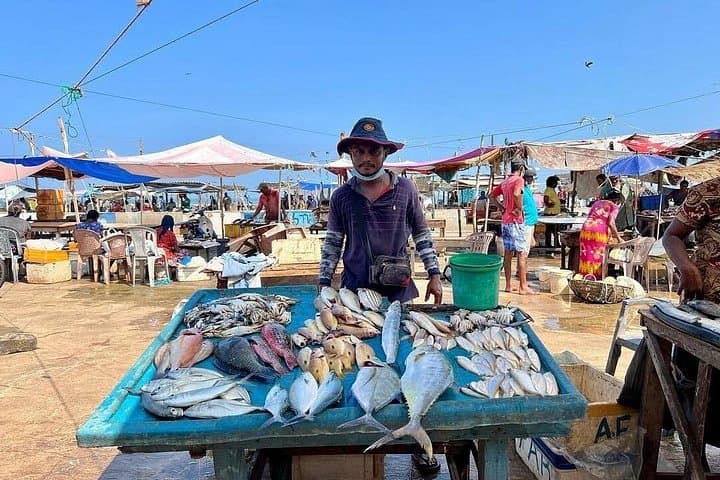 negombo-market-and-sri-lankan-cooking-class-hands-on-market-visit-and-curries photo 3