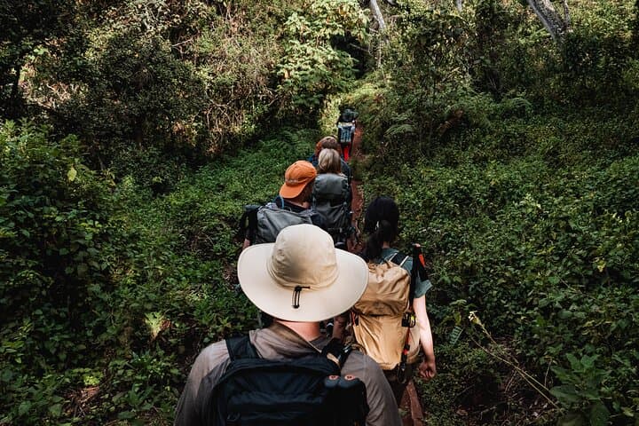 Kilimanjaro Machame Route 7-Day Climb — Practical Guide to Uhuru Peak photo 2