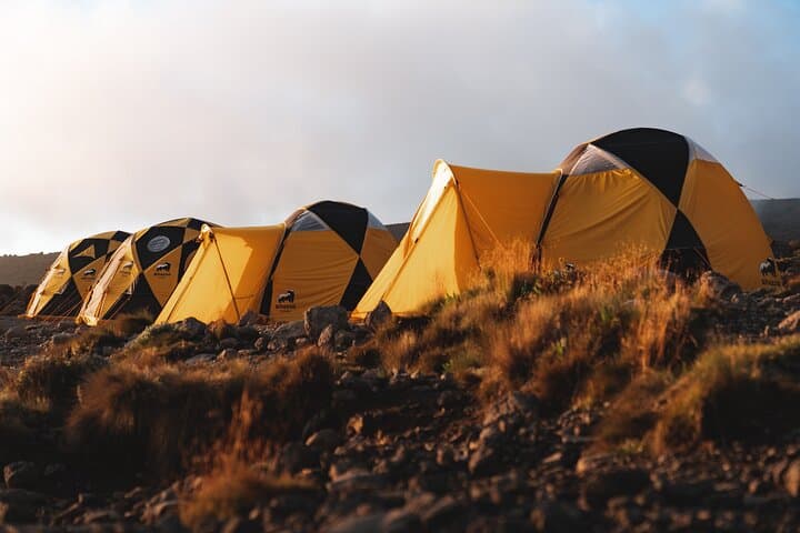 Kilimanjaro Machame Route 7-Day Climb — Practical Guide to Uhuru Peak photo 5