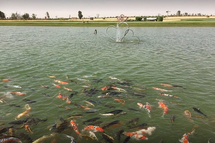 Desert Evenings: Love Lake & Flamingo Lake with Al Hadheerah Dinner Show photo 5