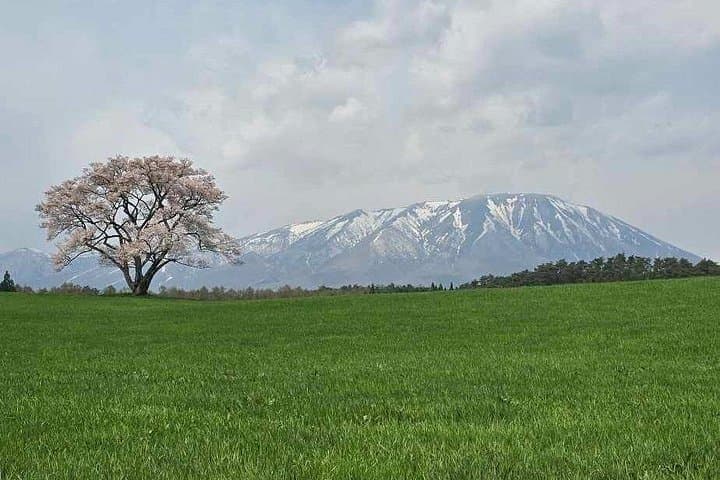 Mt Iwate Panorama Cycling Tour — Ebike Countryside Ride & Farm Lunch photo 3