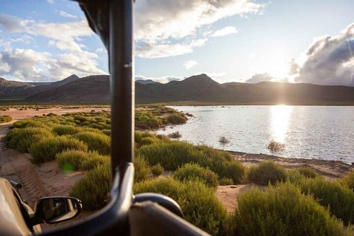 Big Five Day Safari at Aquila Private Game Reserve from Cape Town photo 2