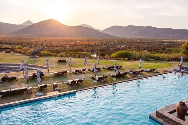 Big Five Day Safari at Aquila Private Game Reserve from Cape Town photo 5