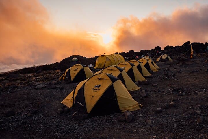 Kilimanjaro Lemosho Route: 8-Day Guided Ascent to Uhuru Peak photo 5