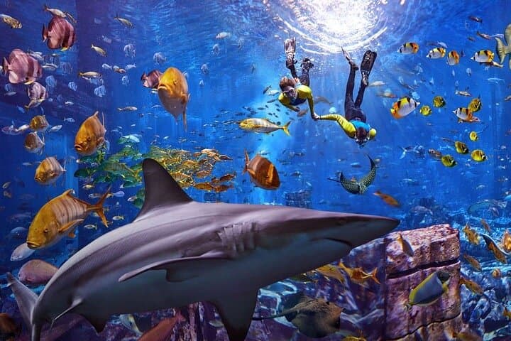 Aquaventure Waterpark & Lost Chambers Aquarium at Atlantis The Palm, Dubai