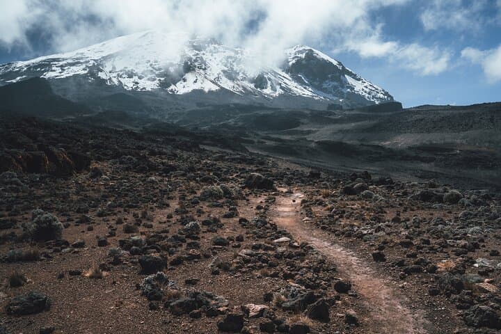 Kilimanjaro Northern Circuit: An 8-Day High-Altitude Trek to Uhuru Peak photo 2