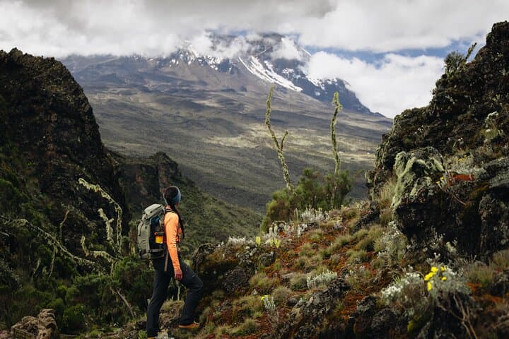 Summit Kilimanjaro via the Marangu Route — 6-Day Hut-to-Hut Climb