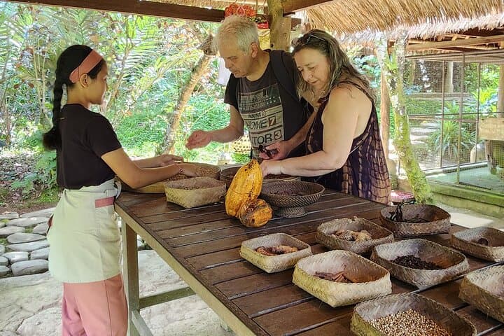 Ubud Healing and Giant Swing Day: Purification Rituals and Rice-Terrace Views photo 6