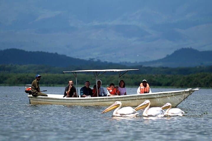 7-Day Kenya Safari: Masai Mara, Lake Nakuru, Hell's Gate & Amboseli with Kilimanjaro Views photo 4