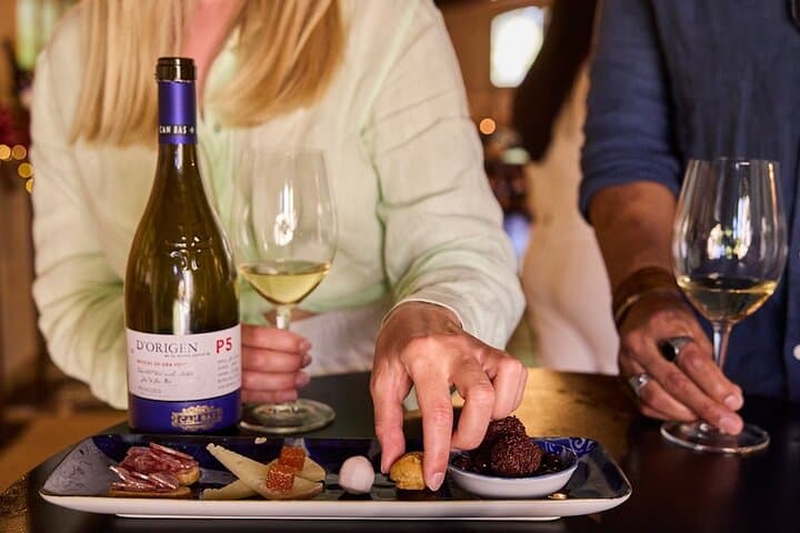 Penedès Cava and Wine Tasting with 4WD Vineyard Tour from Barcelona photo 4