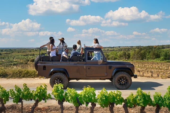 Penedès Cava and Wine Tasting with 4WD Vineyard Tour from Barcelona