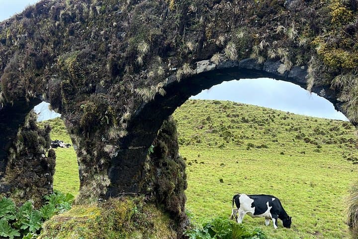Sete Cidades and Lagoa do Fogo: Private Scenic Tour of São Miguel photo 3