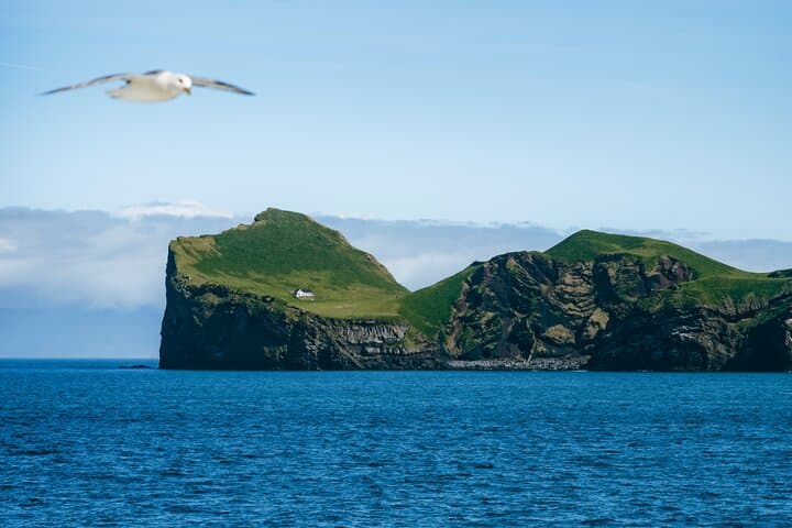 Vestmannaeyjar Private Day Tour: Puffins, Eldfell Volcano & Heimaey Hidden Gems